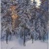 Зимний лес, 28x38 см,. #watercolor #painting #Moscow  #акварель #живопись #Москва  #masterclass #wip #art #artlesson #pinax #pinax_art #STCMill #peredvizhnik #landscape #winter.